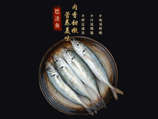 冰鮮巴浪魚