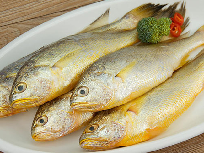 Wild yellow croaker