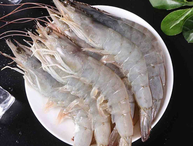 Ecuadorian white shrimp