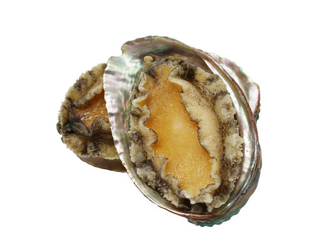 10 head abalone