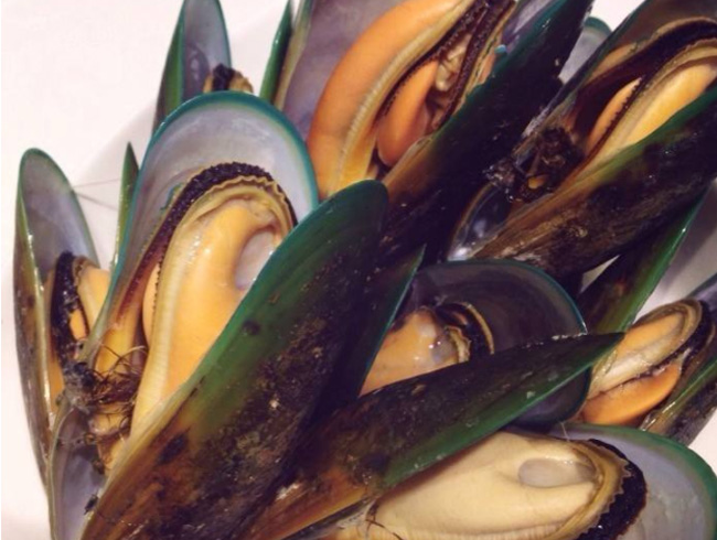 New Zealand full-shell mussels