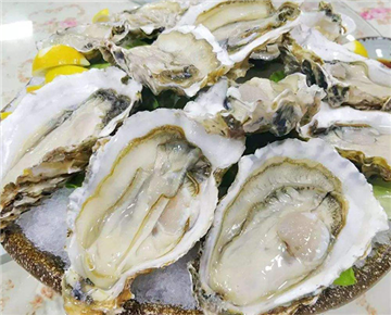 French sashimi oysters